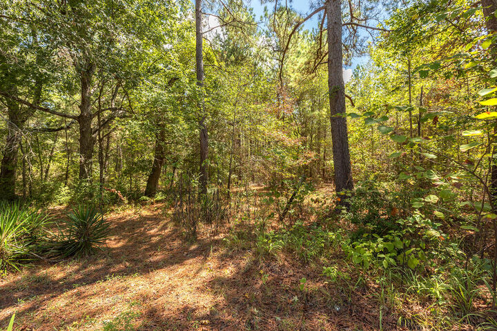 Property Photo:  110131 Bill Jones Road  TX 75904 