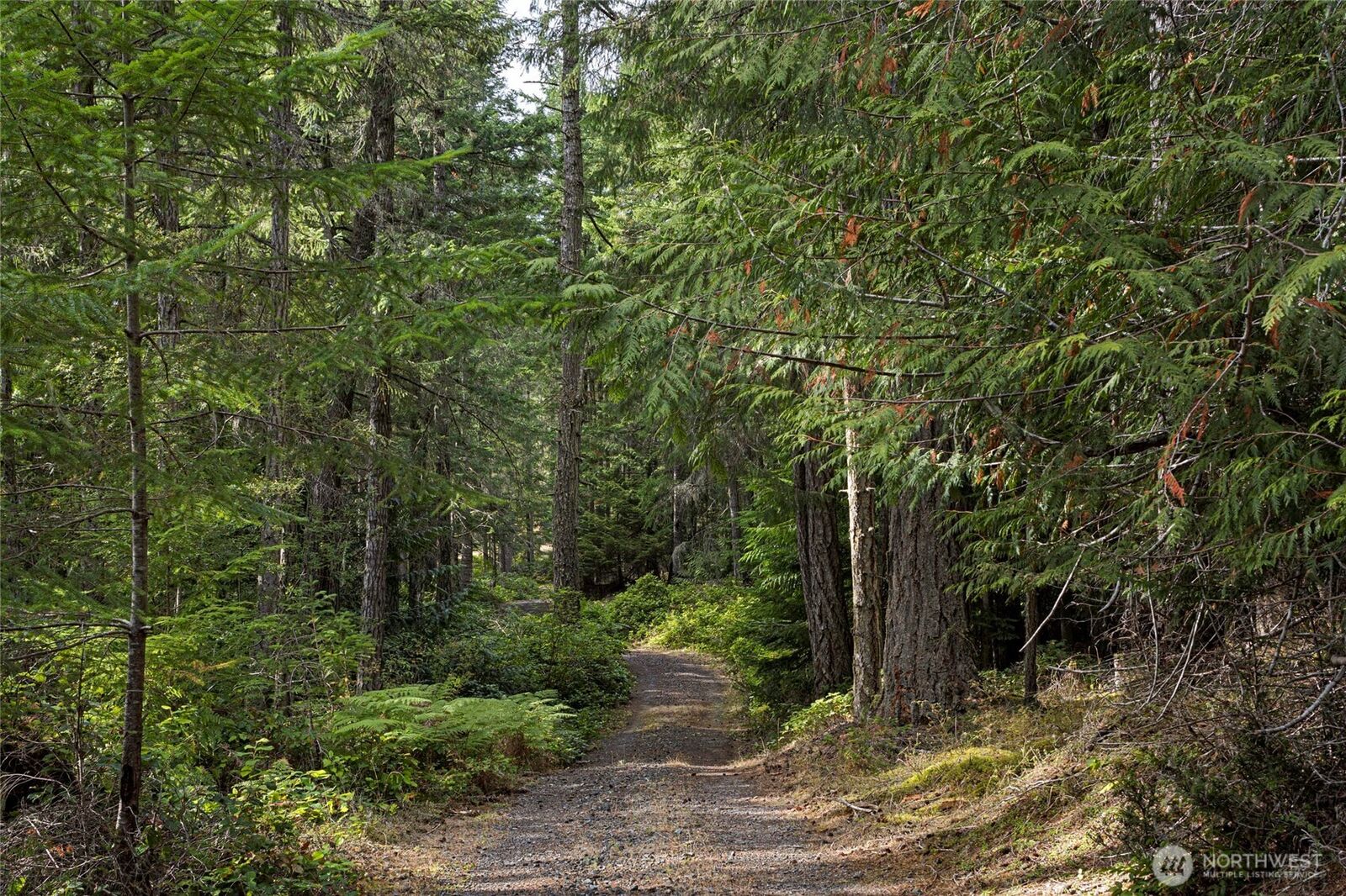 Property Photo: 0 Three Corners Lake Road WA 98250