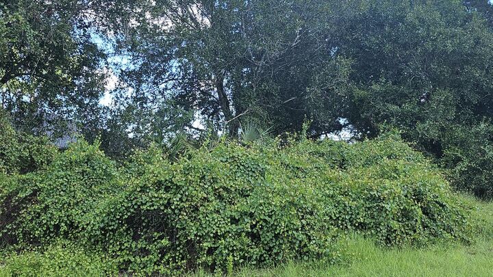 Property Photo:  1785 SW Day Street  FL 34953 