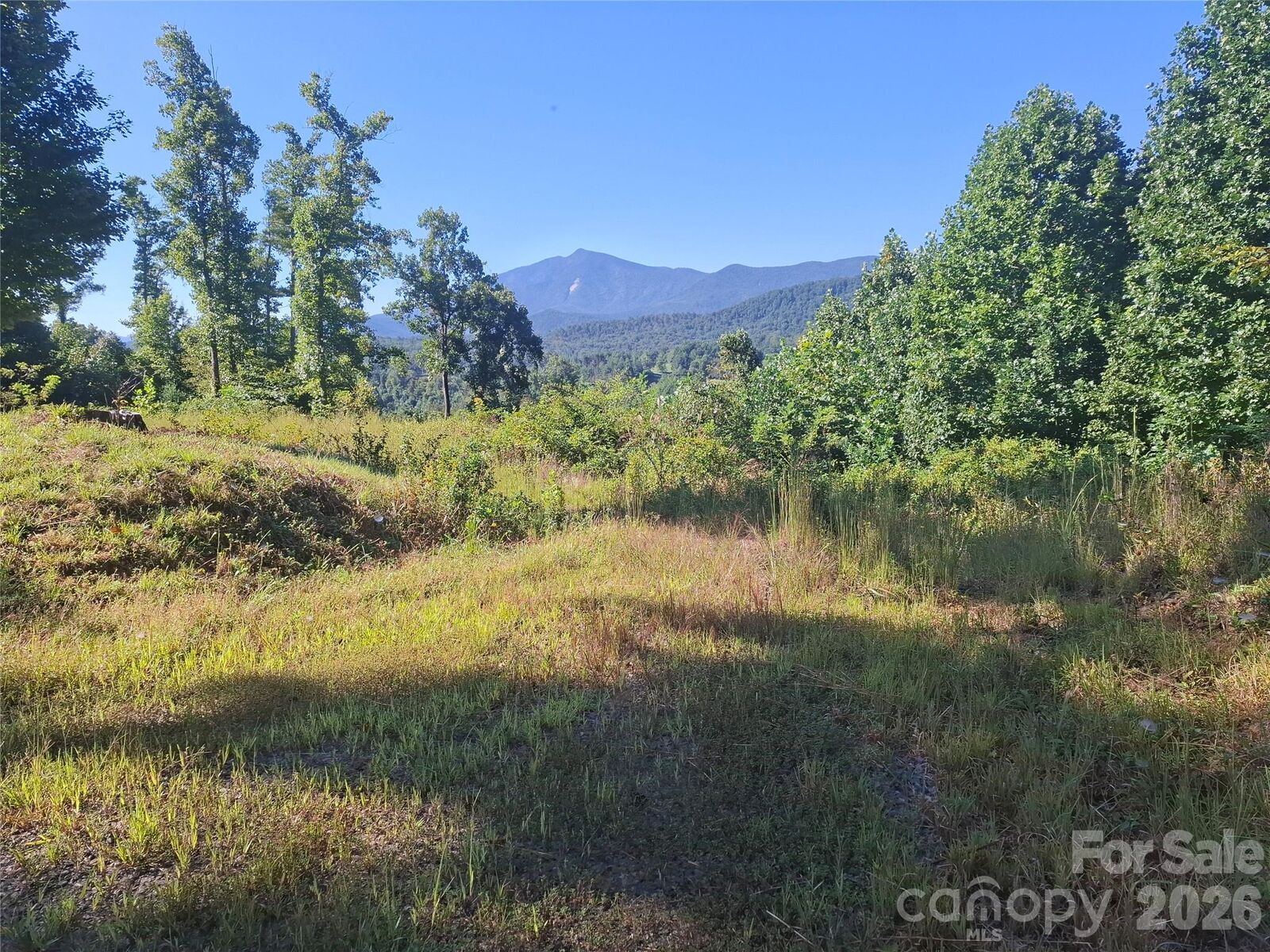Property Photo:  1 River Crest  NC 28714 