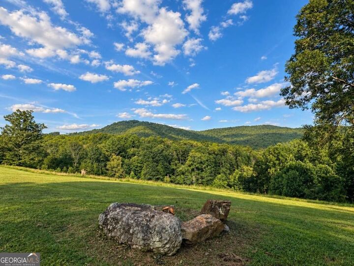 Property Photo:  1538 Greenfield Road  GA 30536 