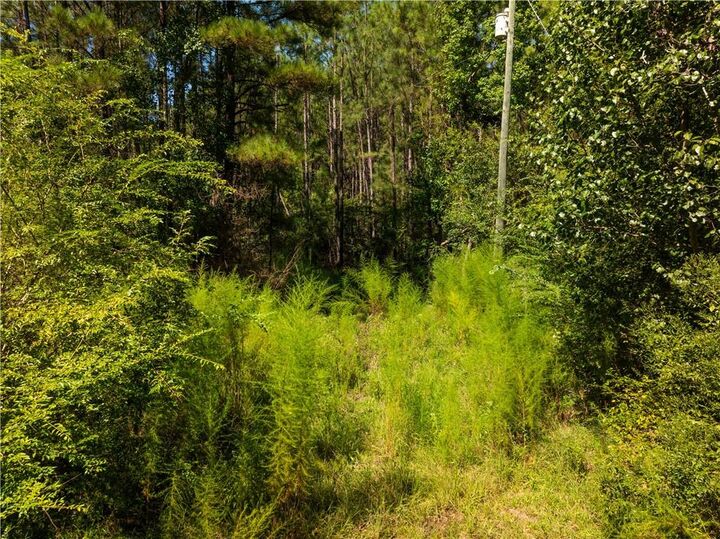 Property Photo:  1715 Lena Flatwoods Road  LA 71447 