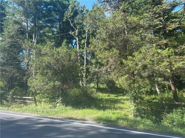 Property Photo:  520 Sheldon Road  NY 13068 
