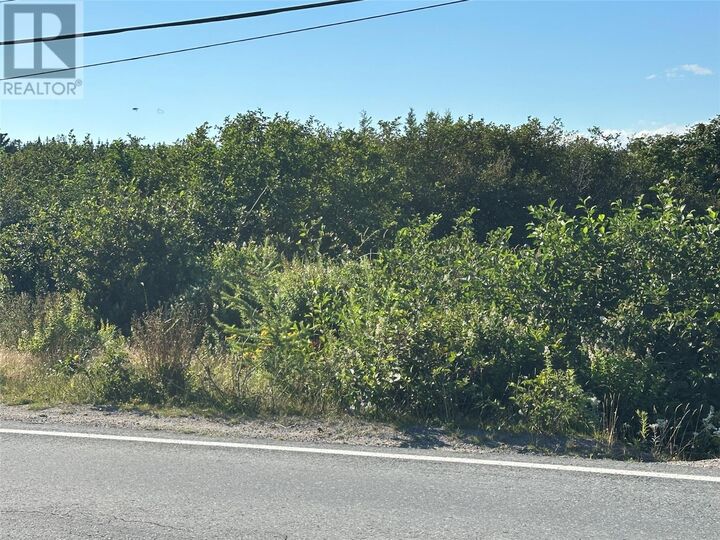 Property Photo:  285-291 Main Road  NL A0B 2B0 
