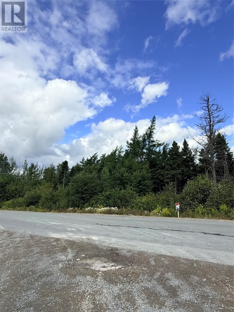Property Photo:  75 Ryders Brook Road  NL A5A 0K0 