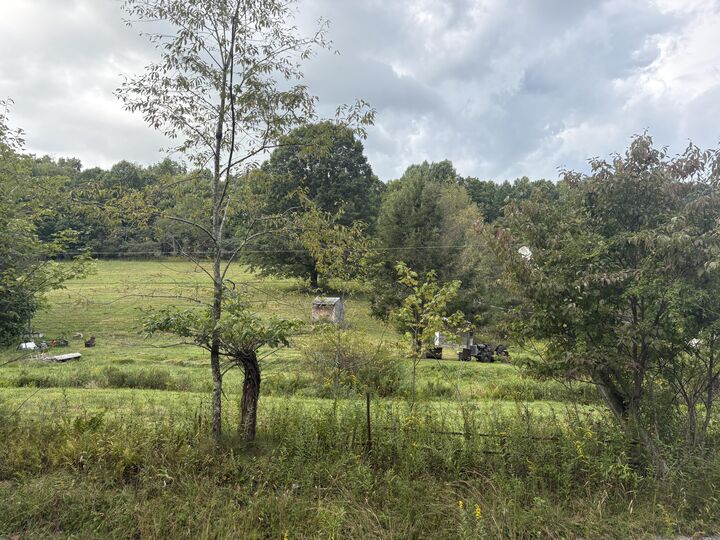 Property Photo:  644/653 Sugar Camp Road  WV 26205 