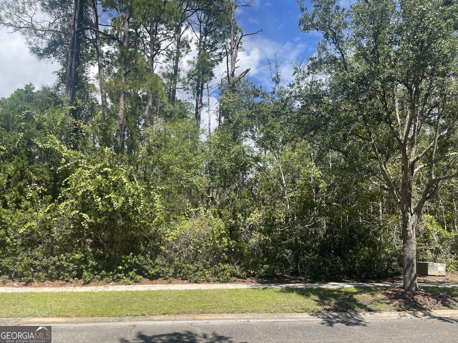 Property Photo: 504 Charleston Way GA 31558