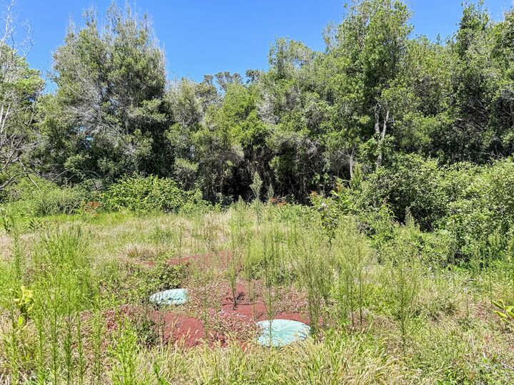 Property Photo:  99-1805 Kaohelo Way  HI 96785 