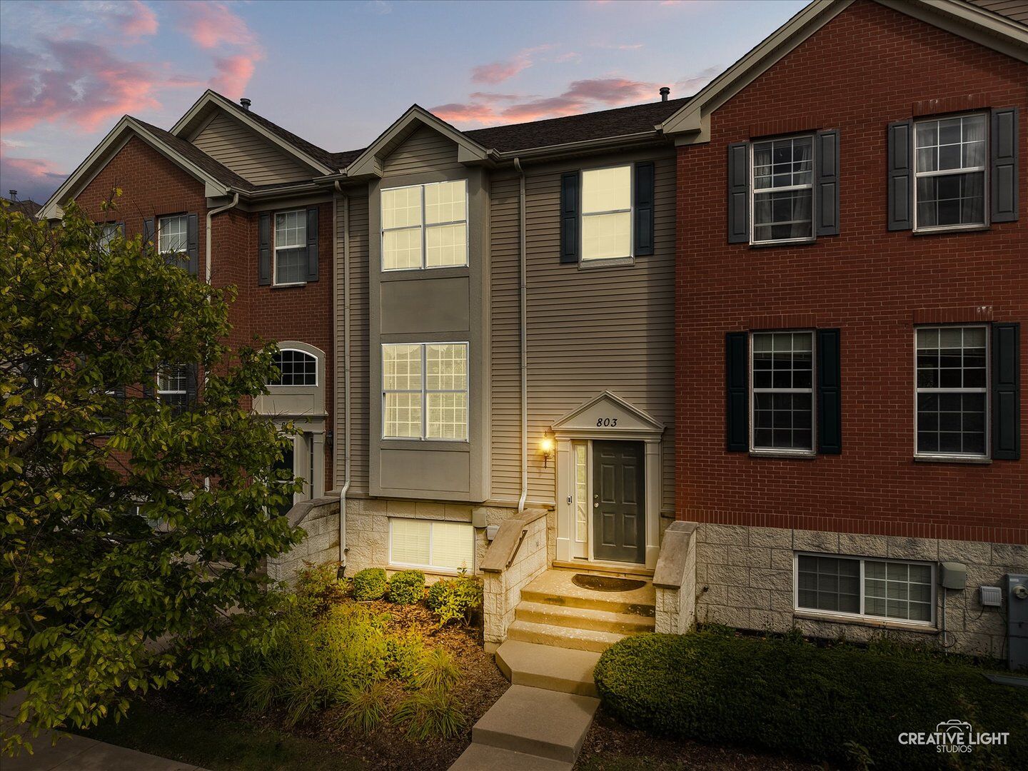 Property Photo:  803 Brodhead Drive  IL 60504 