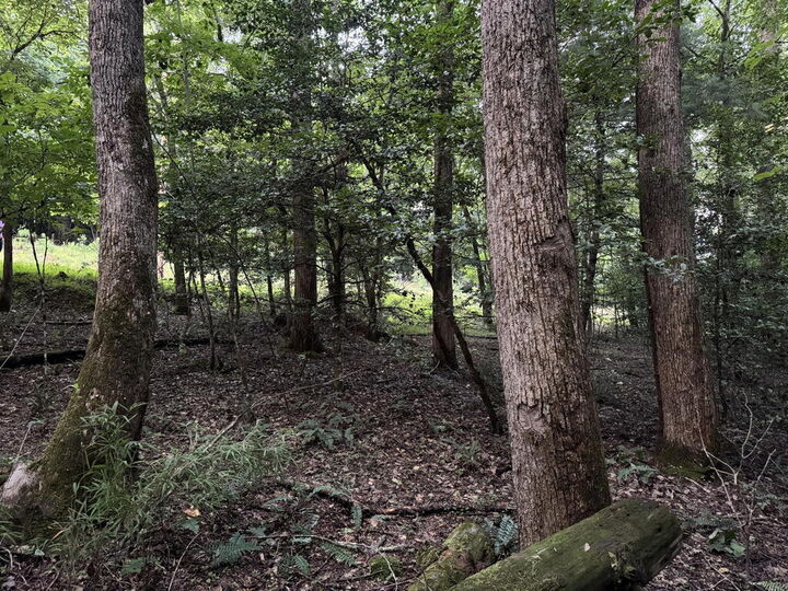 Property Photo: Lt35 Tr2 Scenic Drive NC 28904