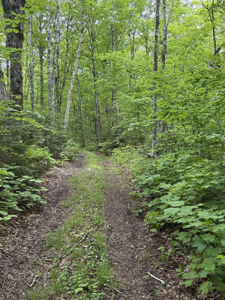 Property Photo:  Lot (Pid 20098885) Truro Road  NS B0K 1V0 