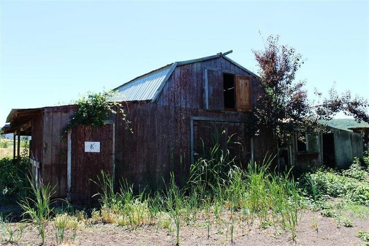 Property Photo:  4223 Merita Terrace  OR 97502 