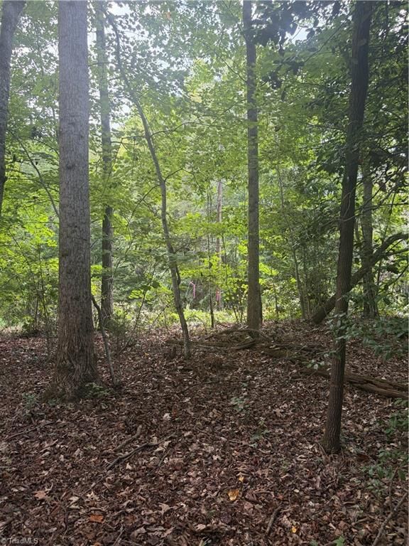 Property Photo: Lot 2 Edgewood Road NC 28697