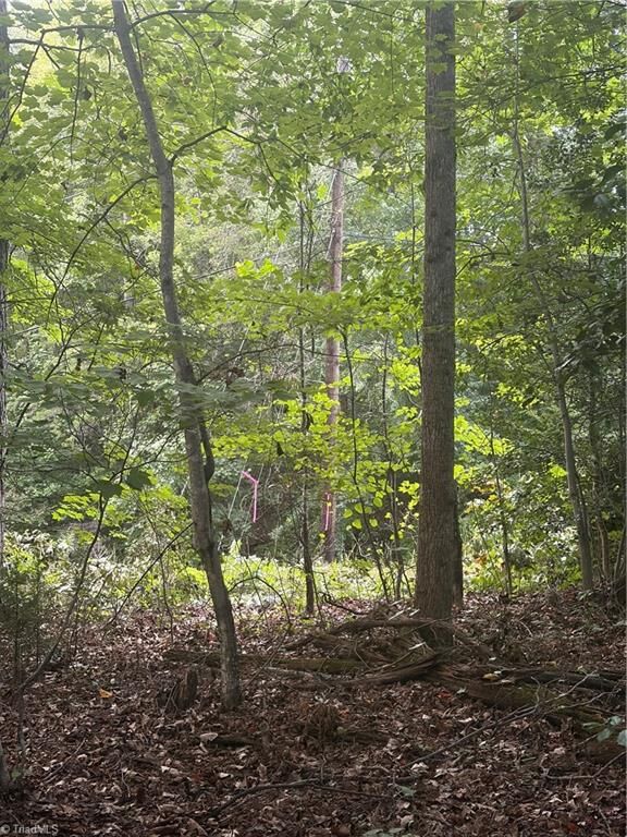 Property Photo:  Lot 3 Edgewood Road  NC 28697 