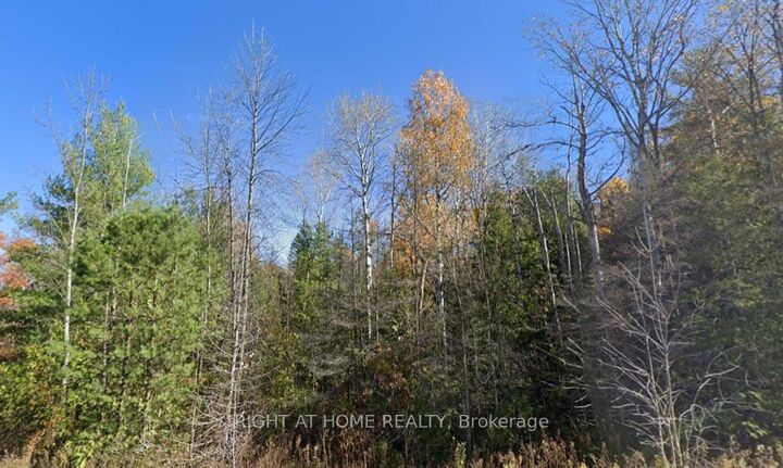 Property Photo:  93 McCleary Road  ON K0K 2M0 
