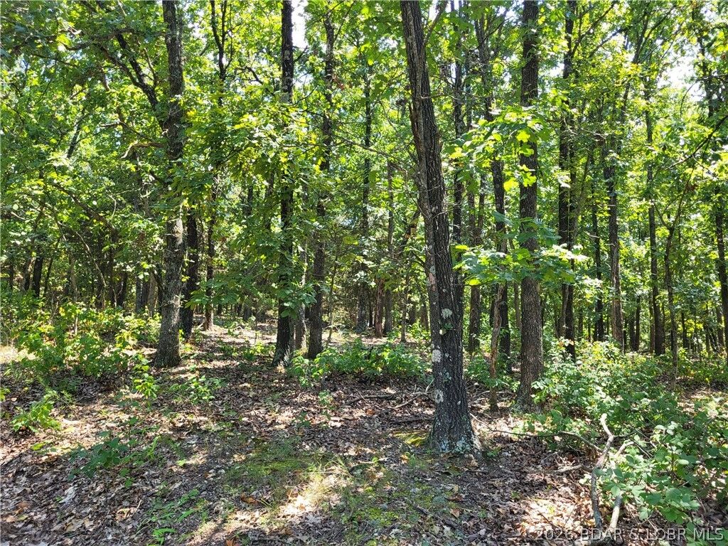 Property Photo: Trinchera Road 3944 & 3945 MO 65326