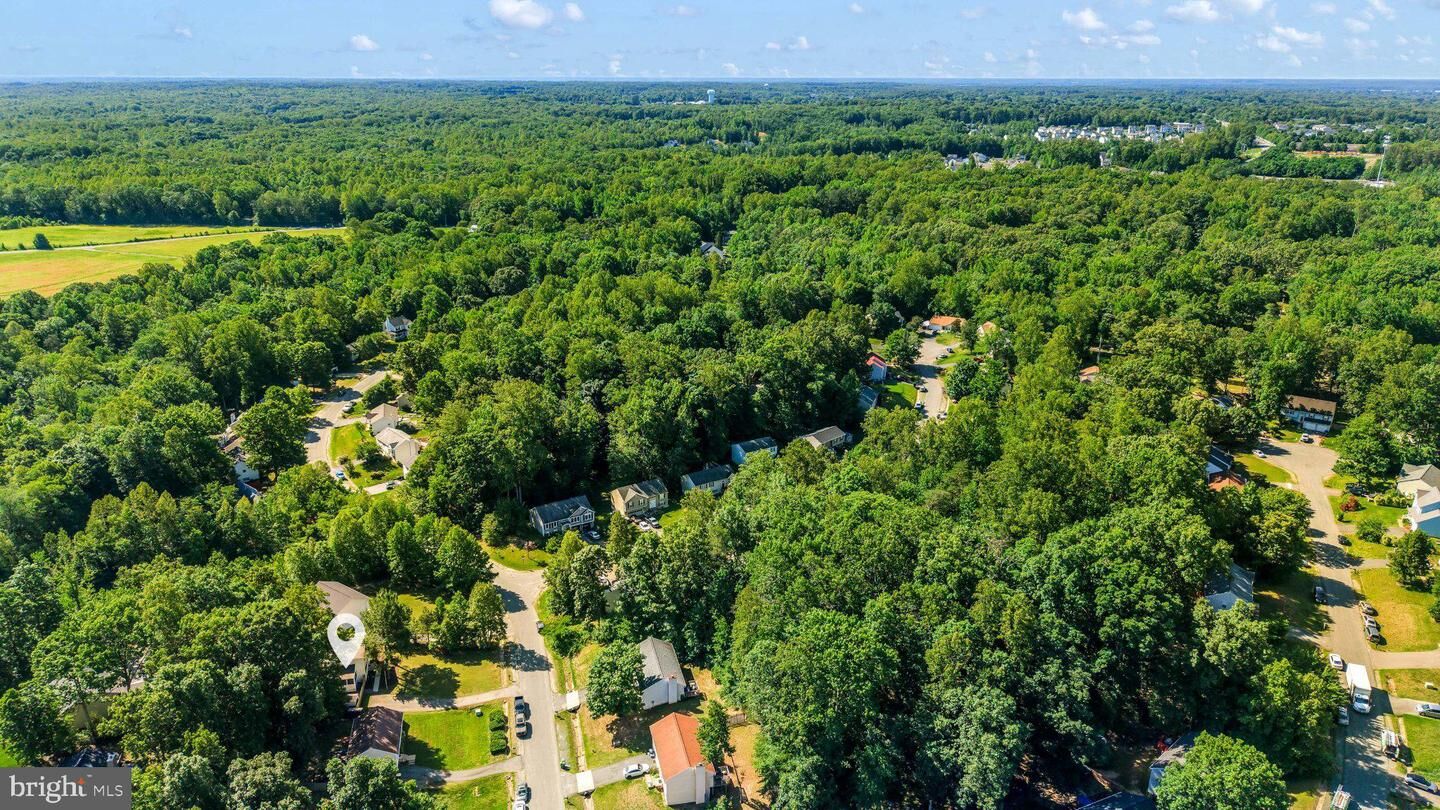 Property Photo:  36 Plumosa Drive  VA 22405 