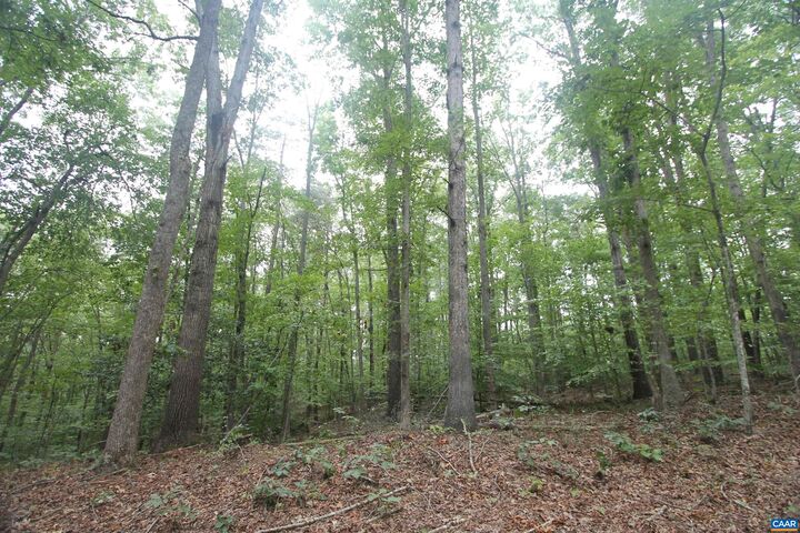 Property Photo:  845 Raccoon Ridge  VA 24590 