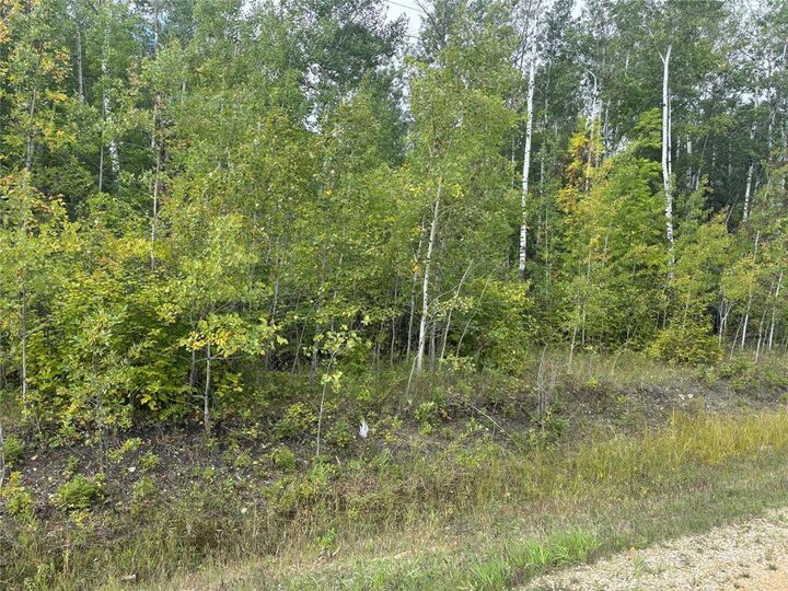 Property Photo:  85 Viking Trail  MB R0C 1B0 