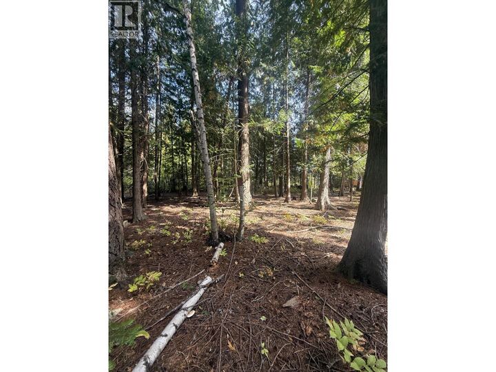 Property Photo:  Dogwood Drive  BC V0G 2G1 