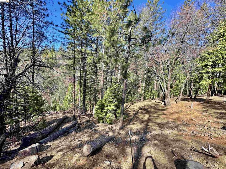Property Photo: 23956 Stable Rd CA 95370
