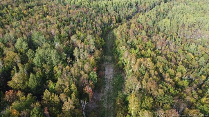 Property Photo:  Lot Donnelly Settlement Road  NB E6K 3N3 