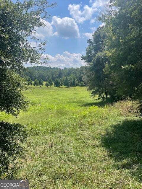 Property Photo:  Lot 8 Captains Court  GA 30523 