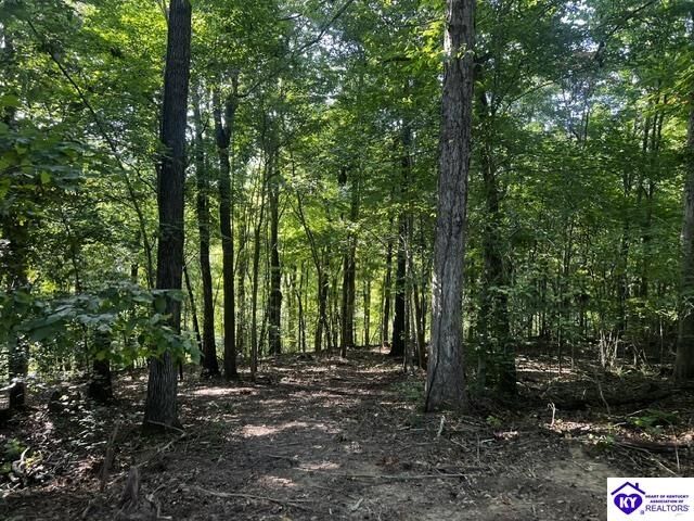 Property Photo:  0 Jewell Flowers Road  KY 42717 