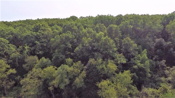 Property Photo: 664 Grat Strasse Road MI 48158