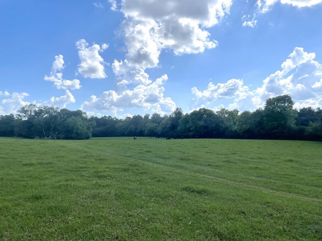Property Photo: 1135 Cr 419 TX 75961