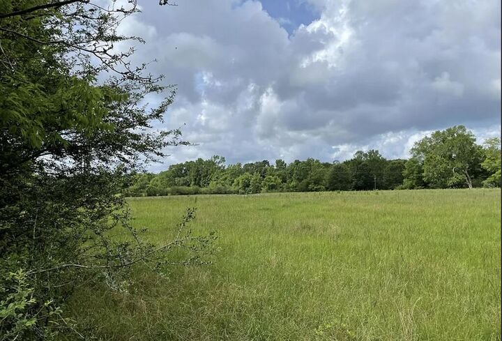 Property Photo:  1135 Cr 419  TX 75961 