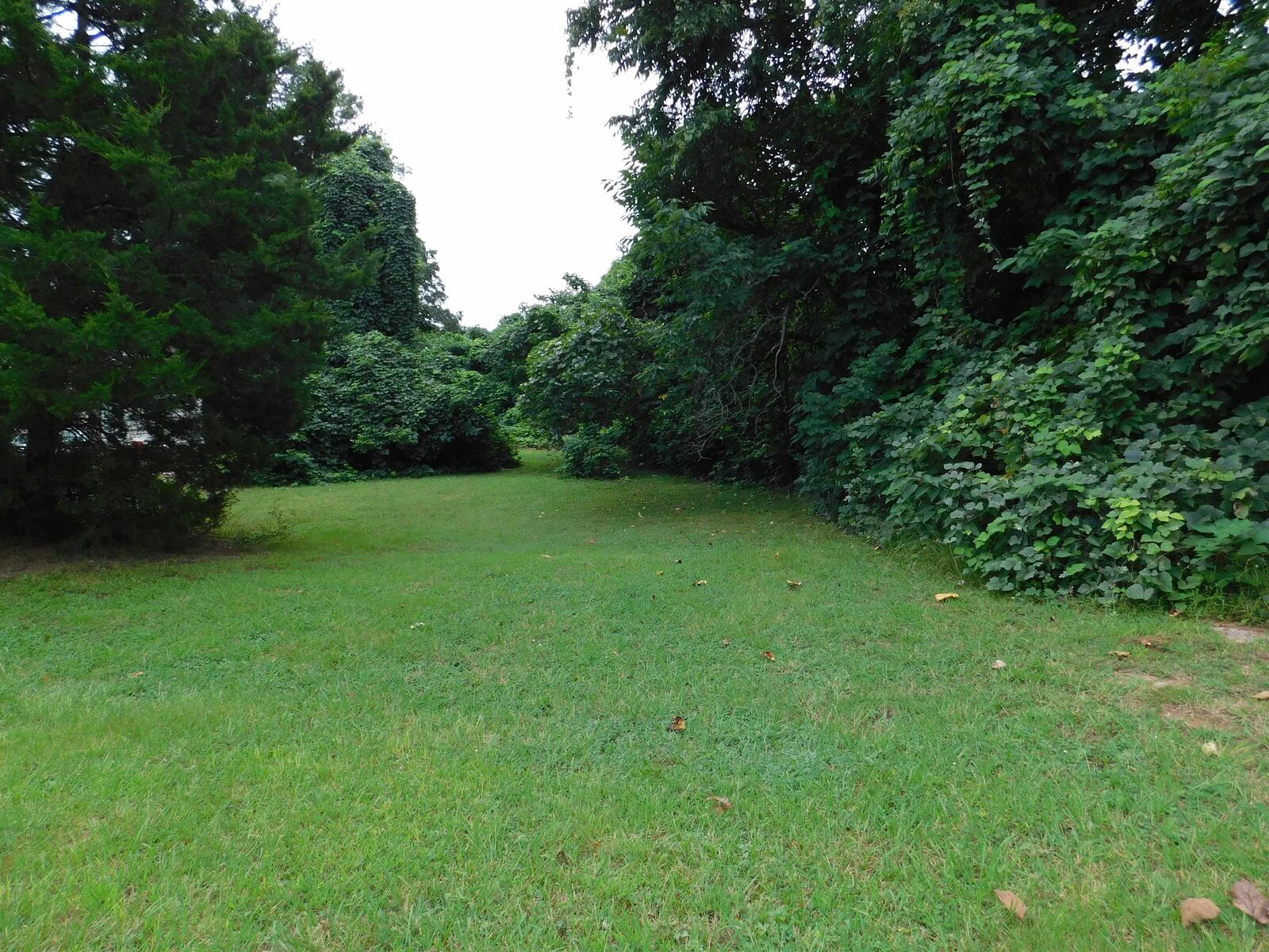 Property Photo:  127 Bomar Avenue ***  SC 29306 