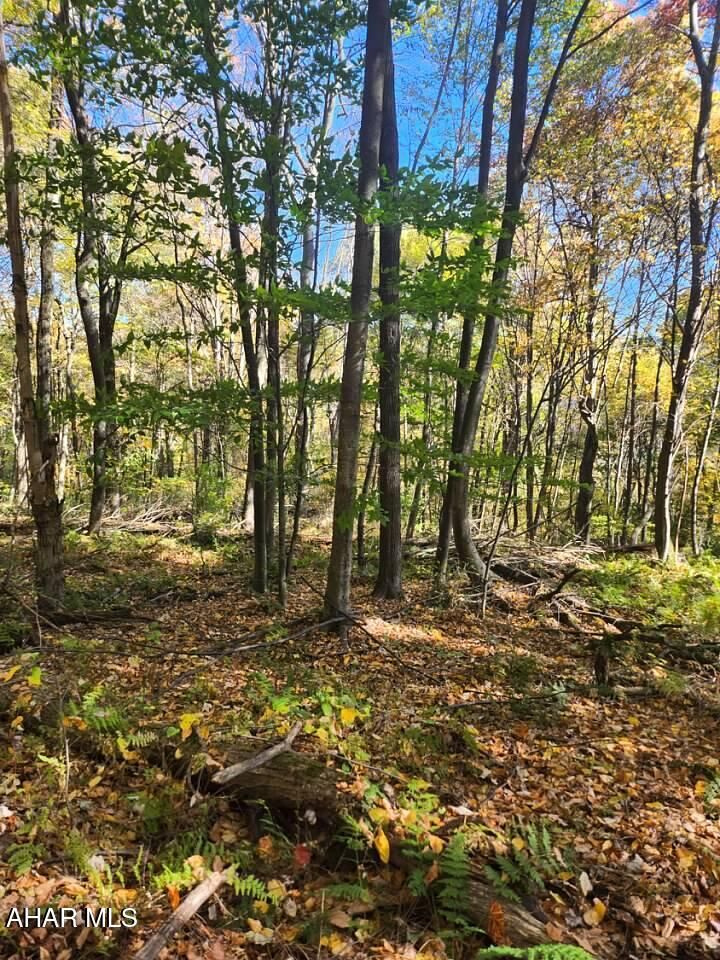 Property Photo: 0 Off Natures Symphony Road PA 16655