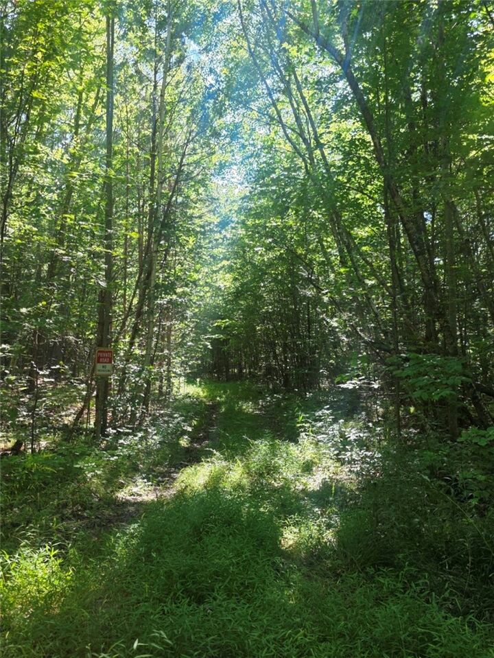 Property Photo:  Black Ash Road  NY 14898 