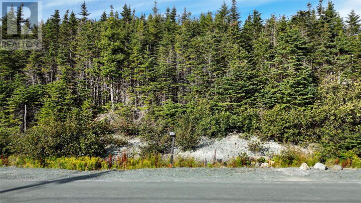 Property Photo:  94-98 Skinners Road  NL A1M 1S1 