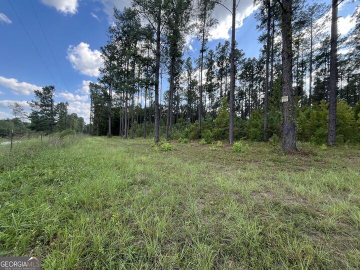 Property Photo:  0 Mark Wood Rd. Lot 3  GA 31019 