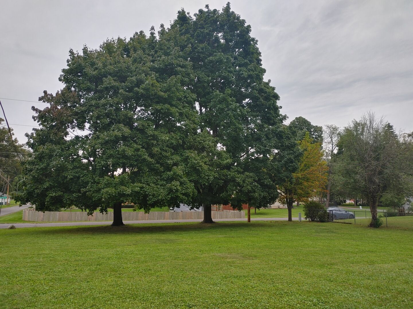 Property Photo:  Lot 2 Pine Road  WI 53128 