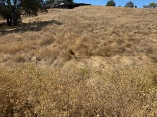Property Photo: 3487 Huckleberry Lane CA 95252