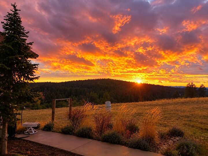Property Photo:  27511 N Scotts Hill Ln  WA 99003 