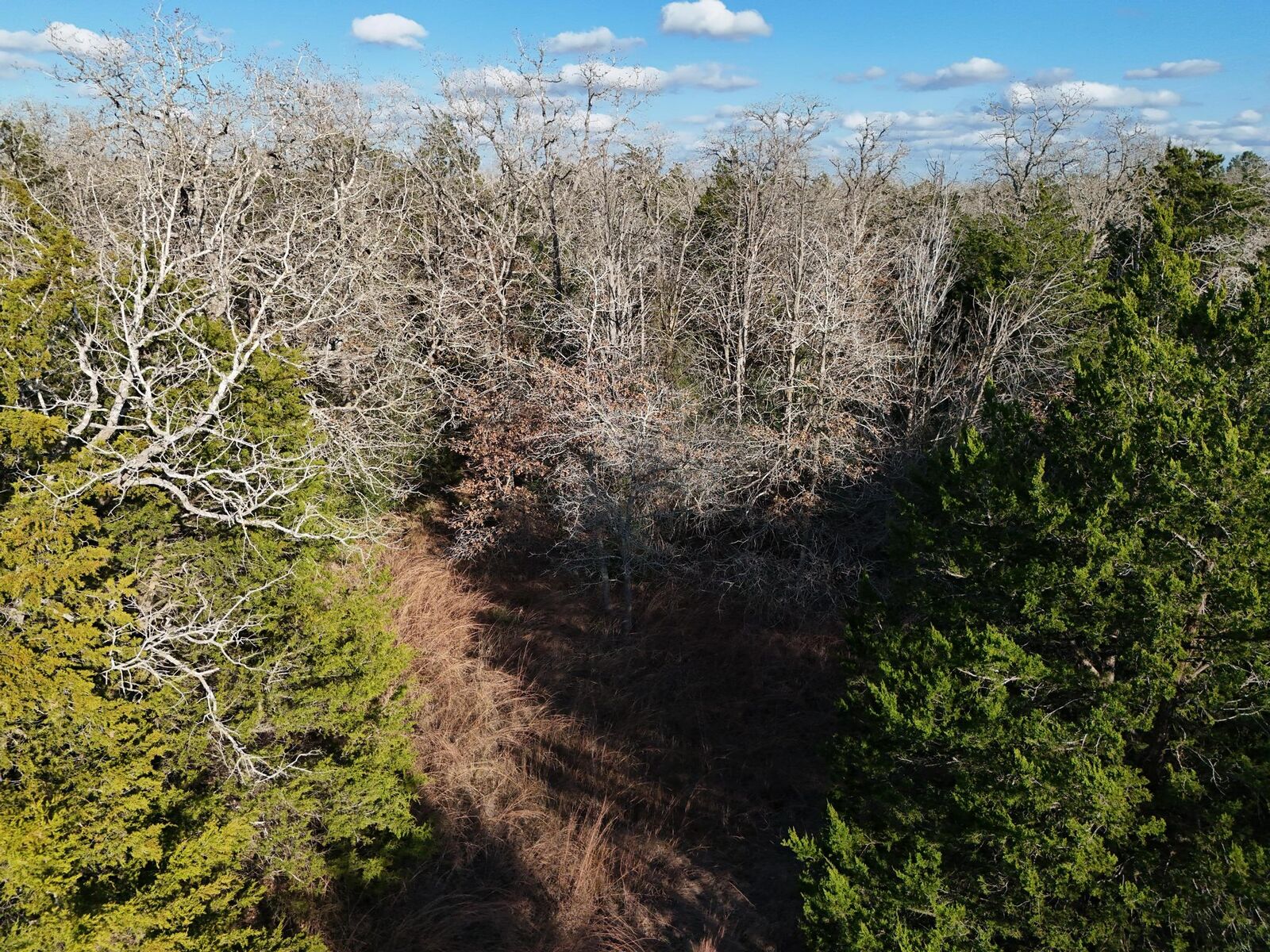 Property Photo:  Lot 14 & Lot 15 Antioch Road  TX 78659 