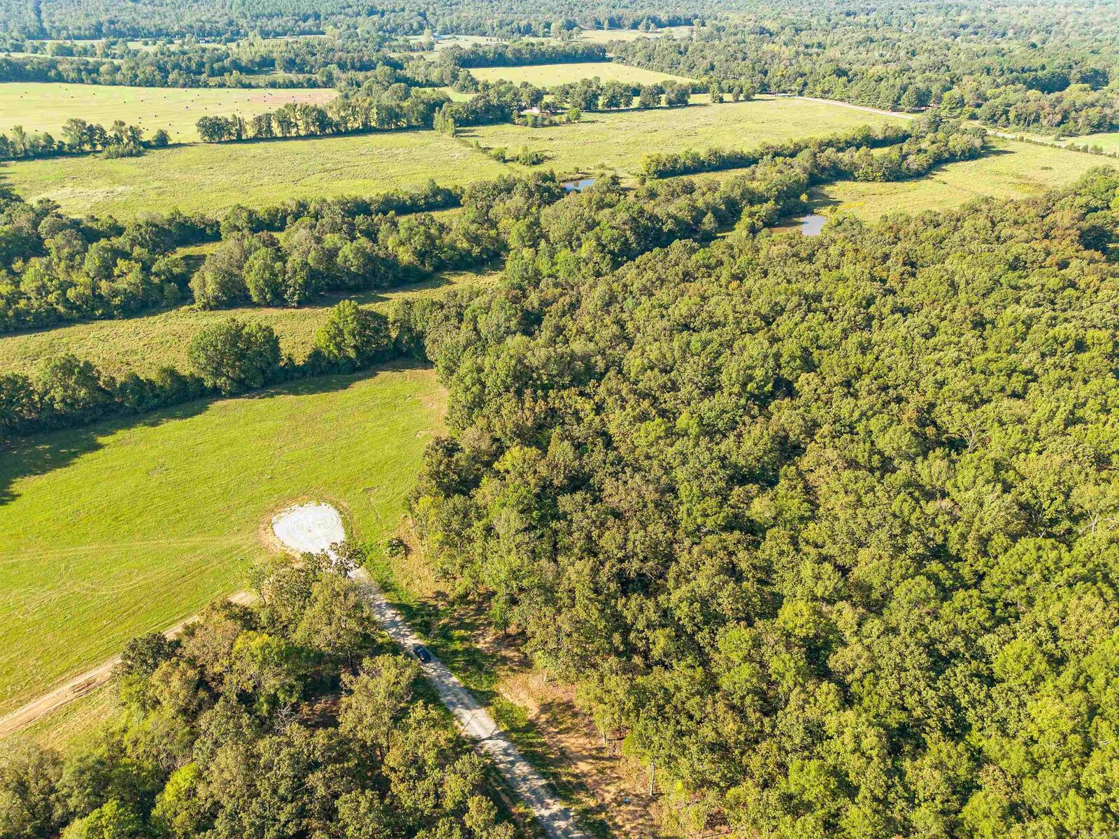 Property Photo: 72 Holland Meadows AR 72032