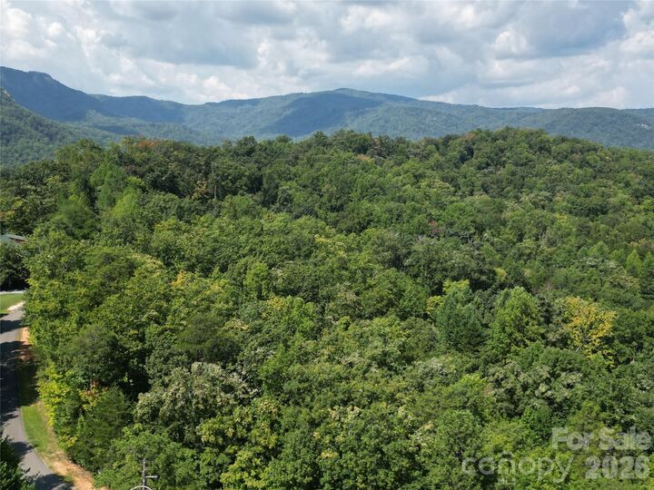 Property Photo:  Lot 16 Highland Heights  NC 28746 