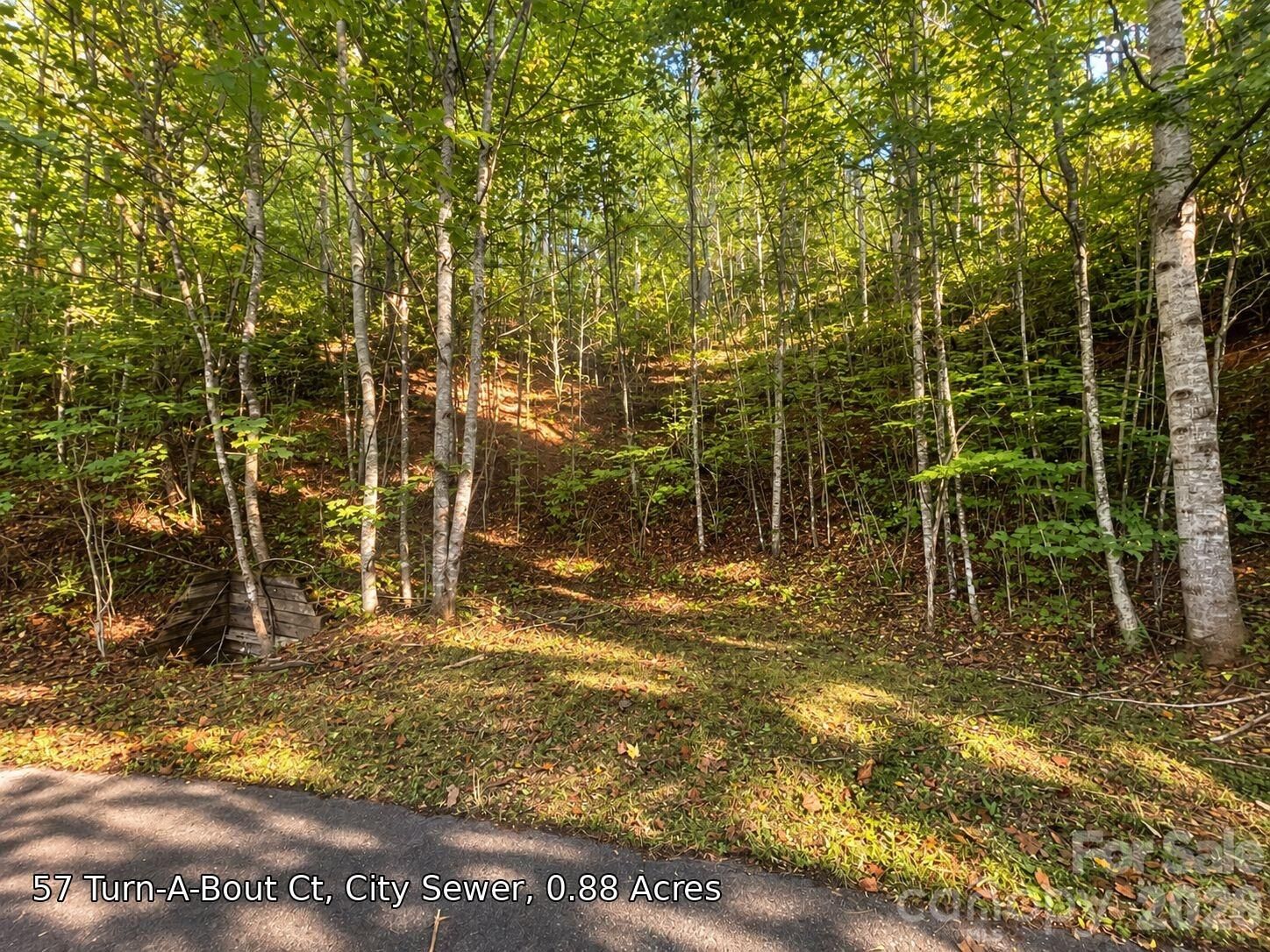 Property Photo:  250 Turn-A-Bout Court 57  NC 28785 