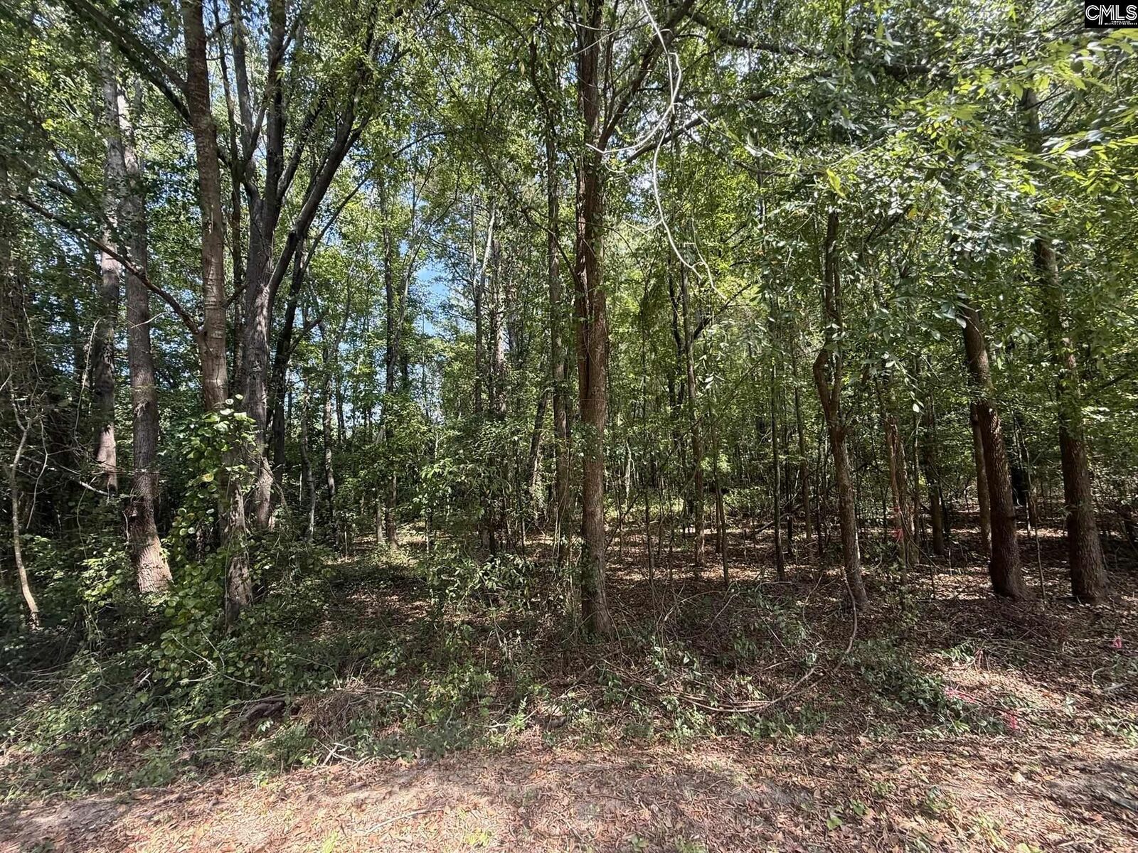 Property Photo: 3938 Timrod SC 29009