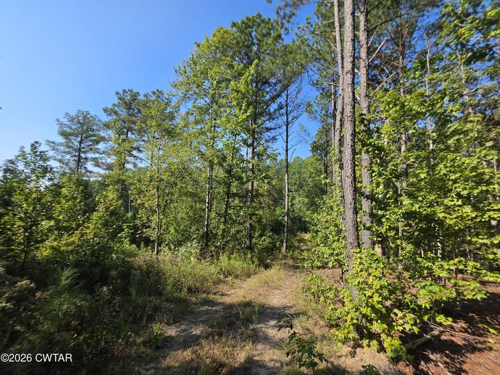 Property Photo:  255 Kee Lane  TN 38320 