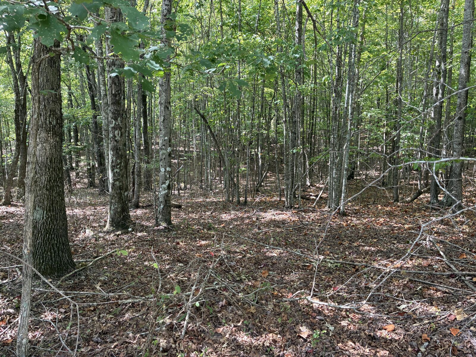 Property Photo:  0 2 Lake Trail  TN 37327 