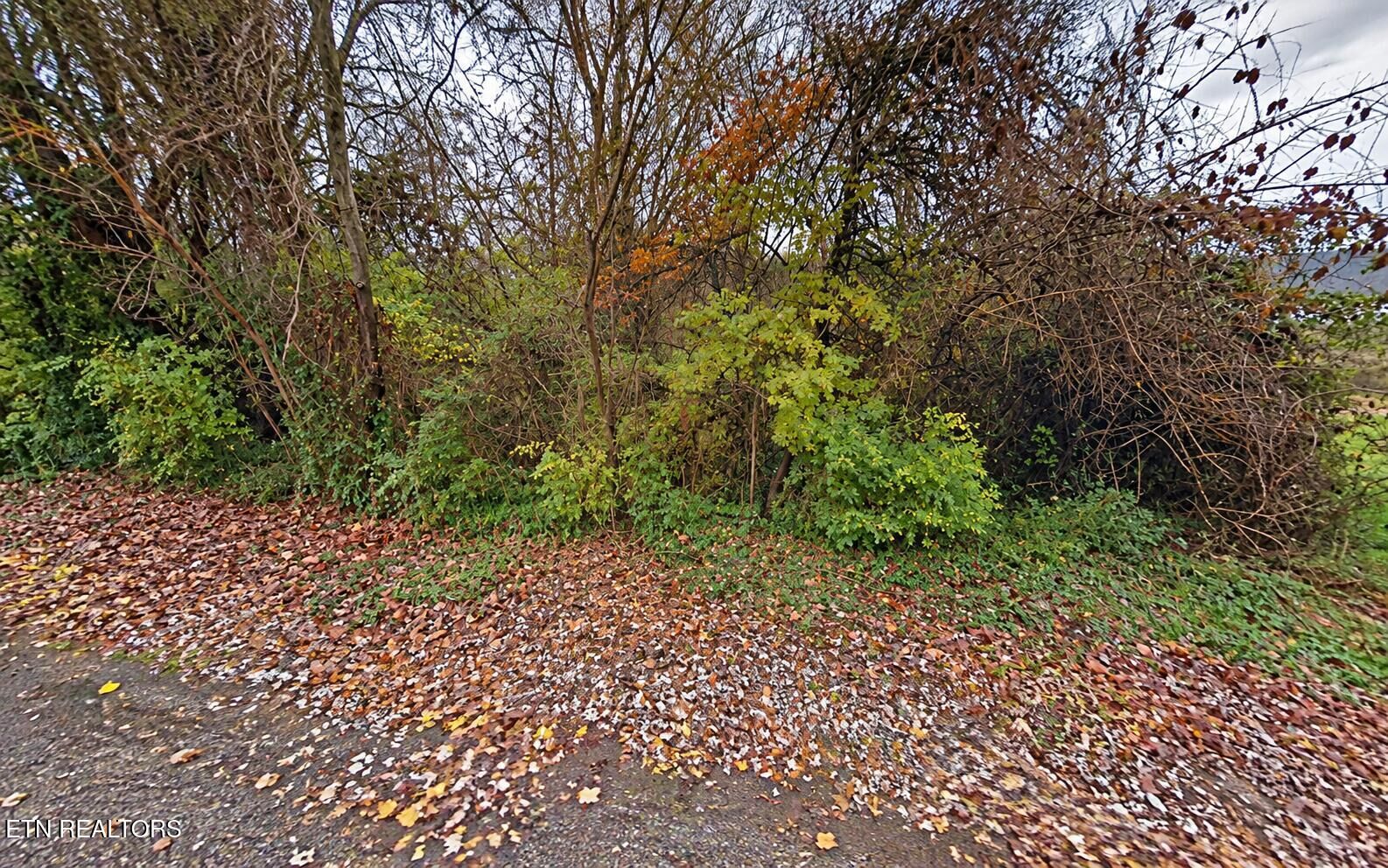 Property Photo:  1105 Maryland Ave  TN 37921 