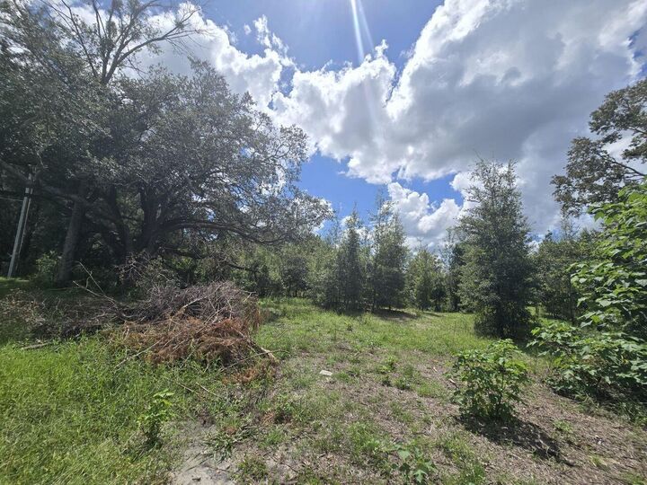 Property Photo:  St. Paul Dr  FL 34610 