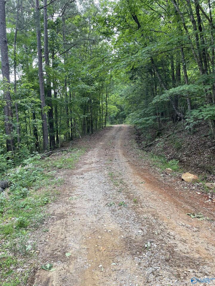 Property Photo: 646 Keel Mountain Road AL 35748