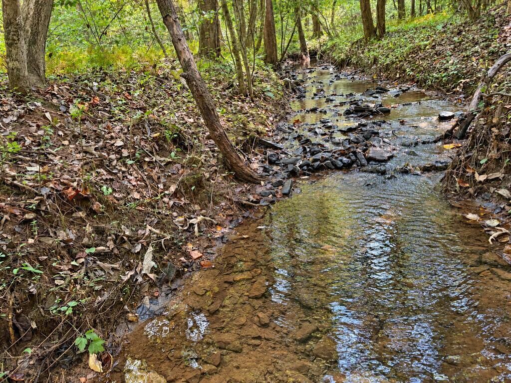 Property Photo:  Lot 6 Mountain Brooks Road  GA 30513 